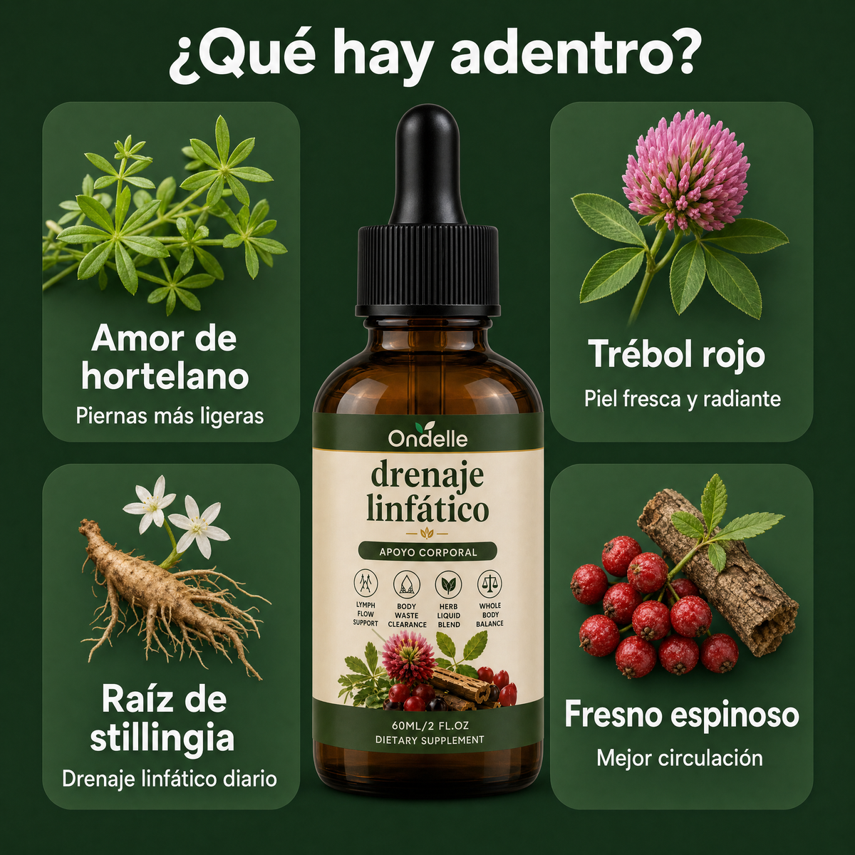 Ingredientes de Ondelle: amor de hortelano, trébol rojo, raíz de stillingia, fresno espinoso